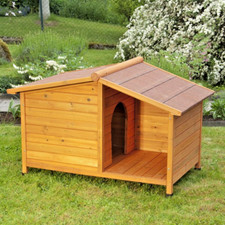Small Outdoor Wooden Dog