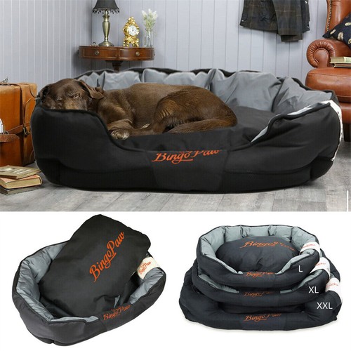 Xxl large jumbo orthopedic - jumbo,