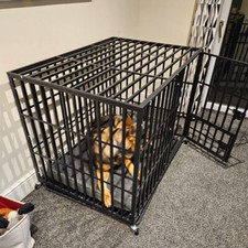 Indestructible Heavy Duty Dog