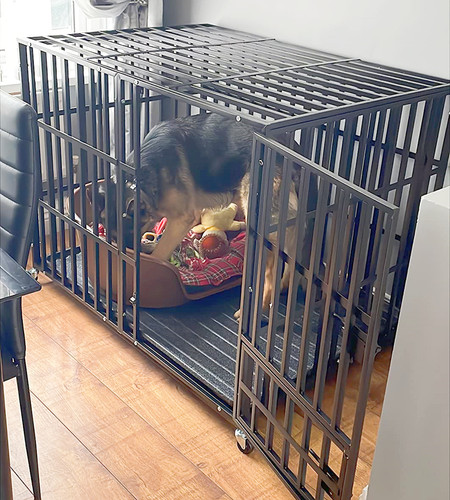 Heavy duty dog crate large - heavy, pet