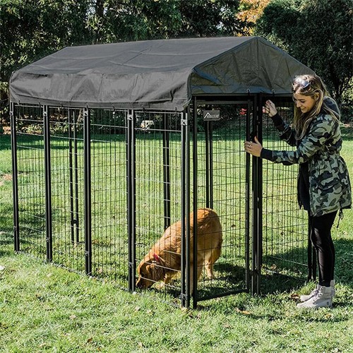 Sturdy outdoor dog kennel - outdoor,