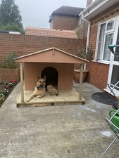 Large Insulated Wooden Dog