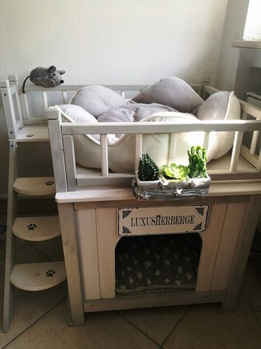 Outdoor cat dog den - den, house