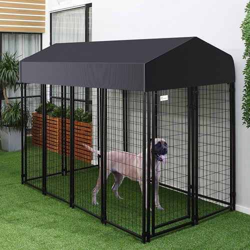 125 127 249cm jumbo pet - jumbo, dog