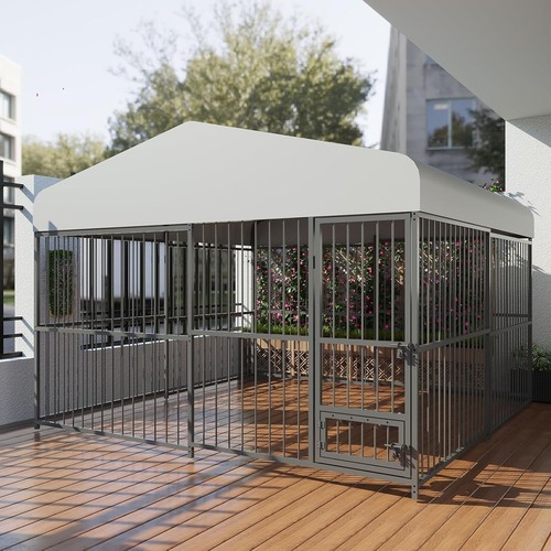 Large outdoor dog - large, kennel