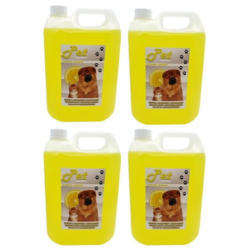 Pet cattery kennel - pet,