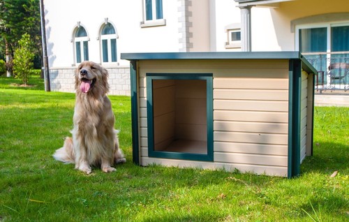 Plastic dog kennel cabin twin - dog, kennel,